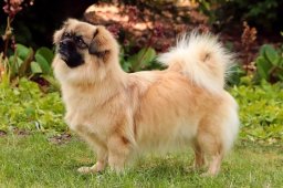 2025 – Klubový šampion