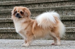 2024 – Klubový šampion