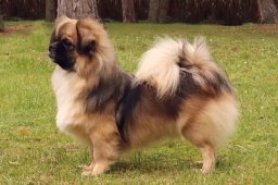 2025 – Klubový šampion