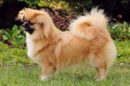 2025 – Klubový šampion