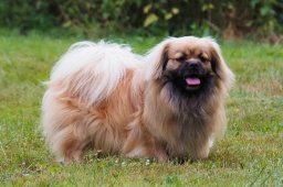 2025 – Klubový šampion