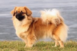 2025 – Klubový šampion