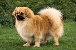 2025 – Klubový šampion