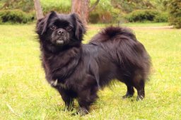 2025 – Klubový šampion